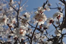 Alle Zeichen stehen auf Frühling