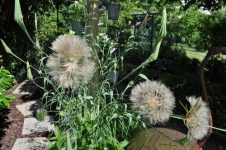 Ein amtlicher Start in den Sommer