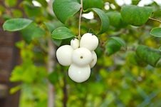 Ein Herbst mit Anlaufschwierigkeiten