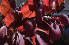 Wettermäßig von allem ein bisschen ...