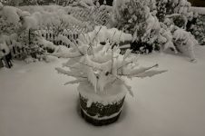 Von allem ein bisschen - vor allem viel Schnee